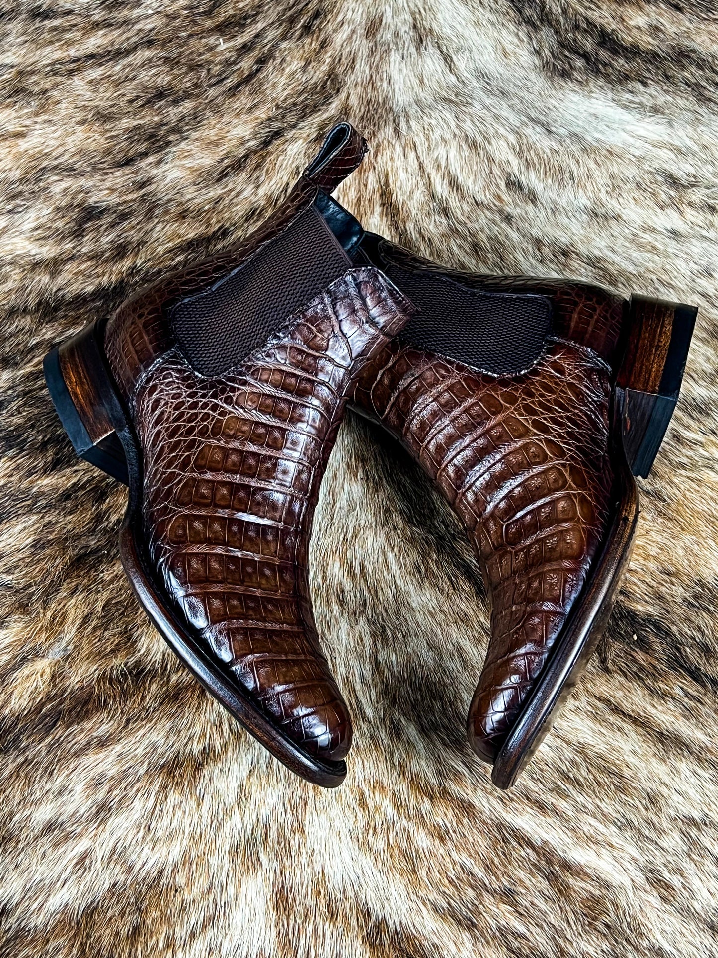 Chelsea Brown Crocodile Oval Fusch