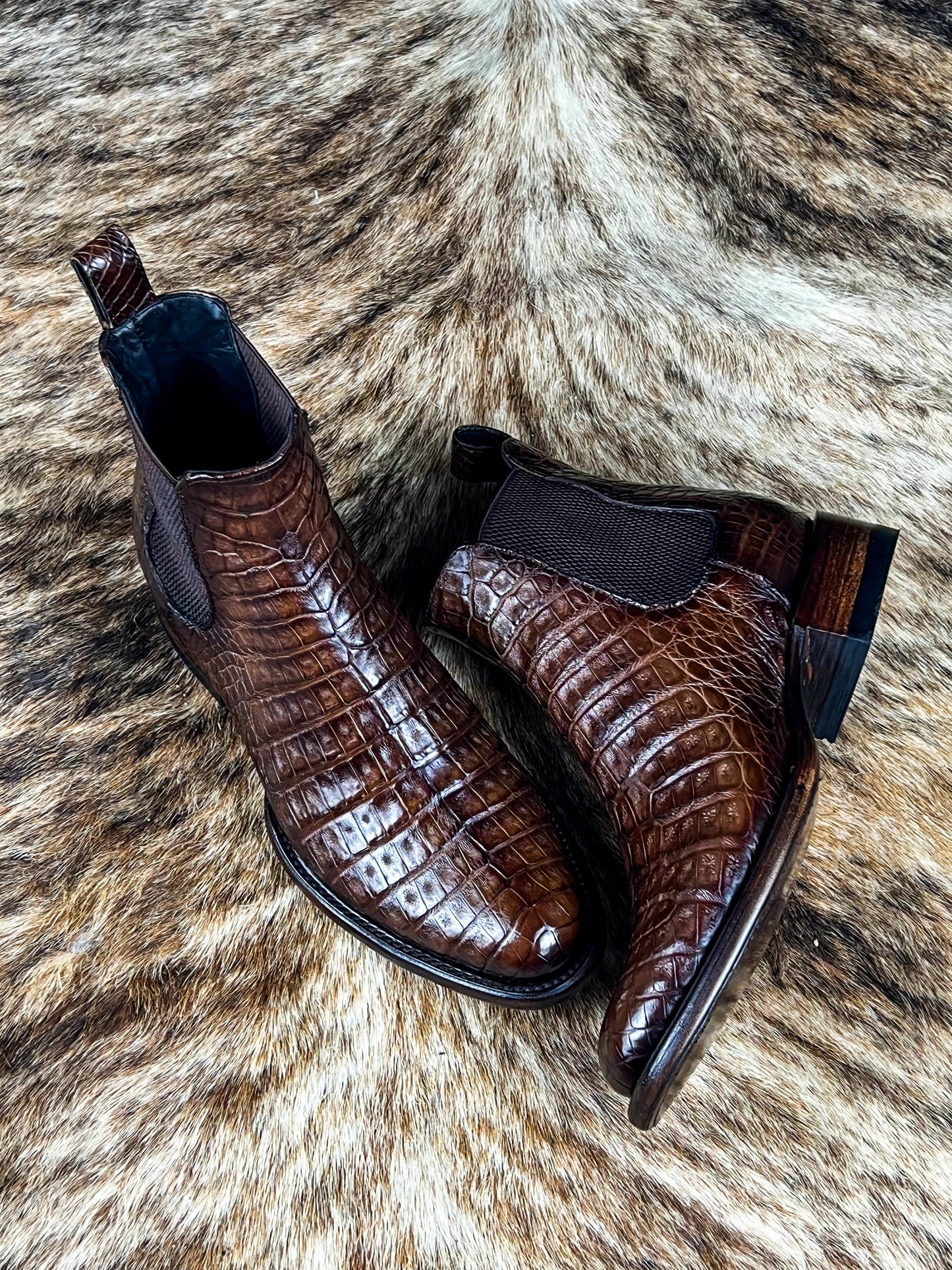 Chelsea Brown Crocodile Oval Fusch
