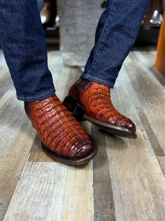 Honey Crocodile Loin Chelsea